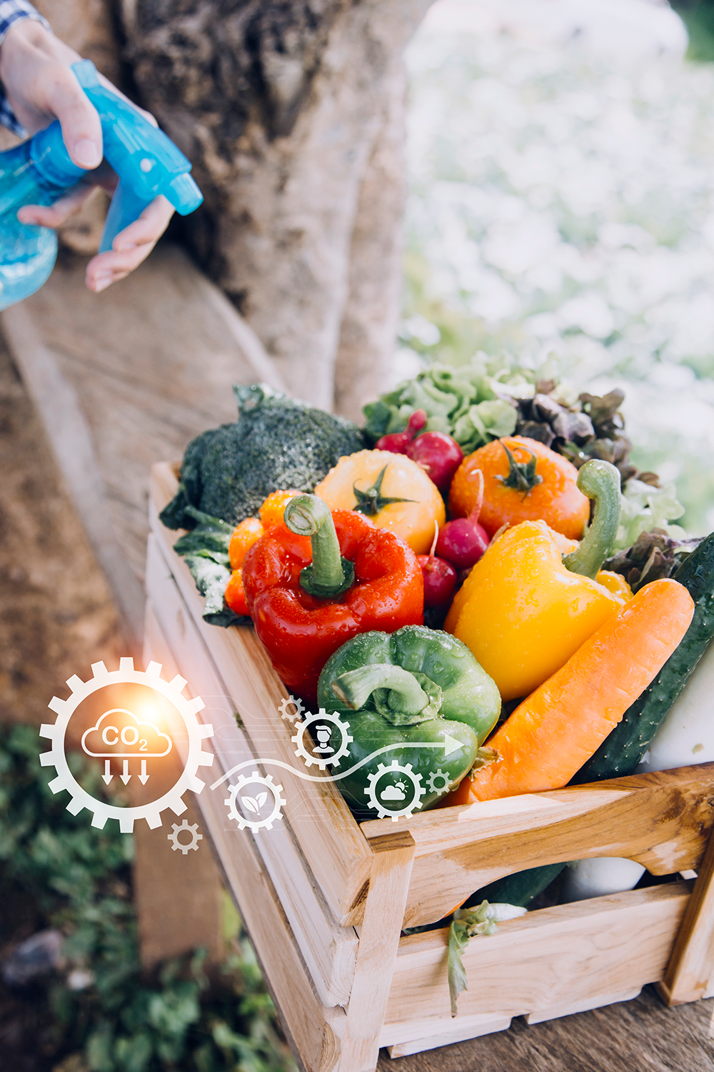 Global Food Security