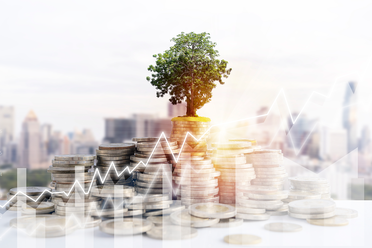 Agricultural investment