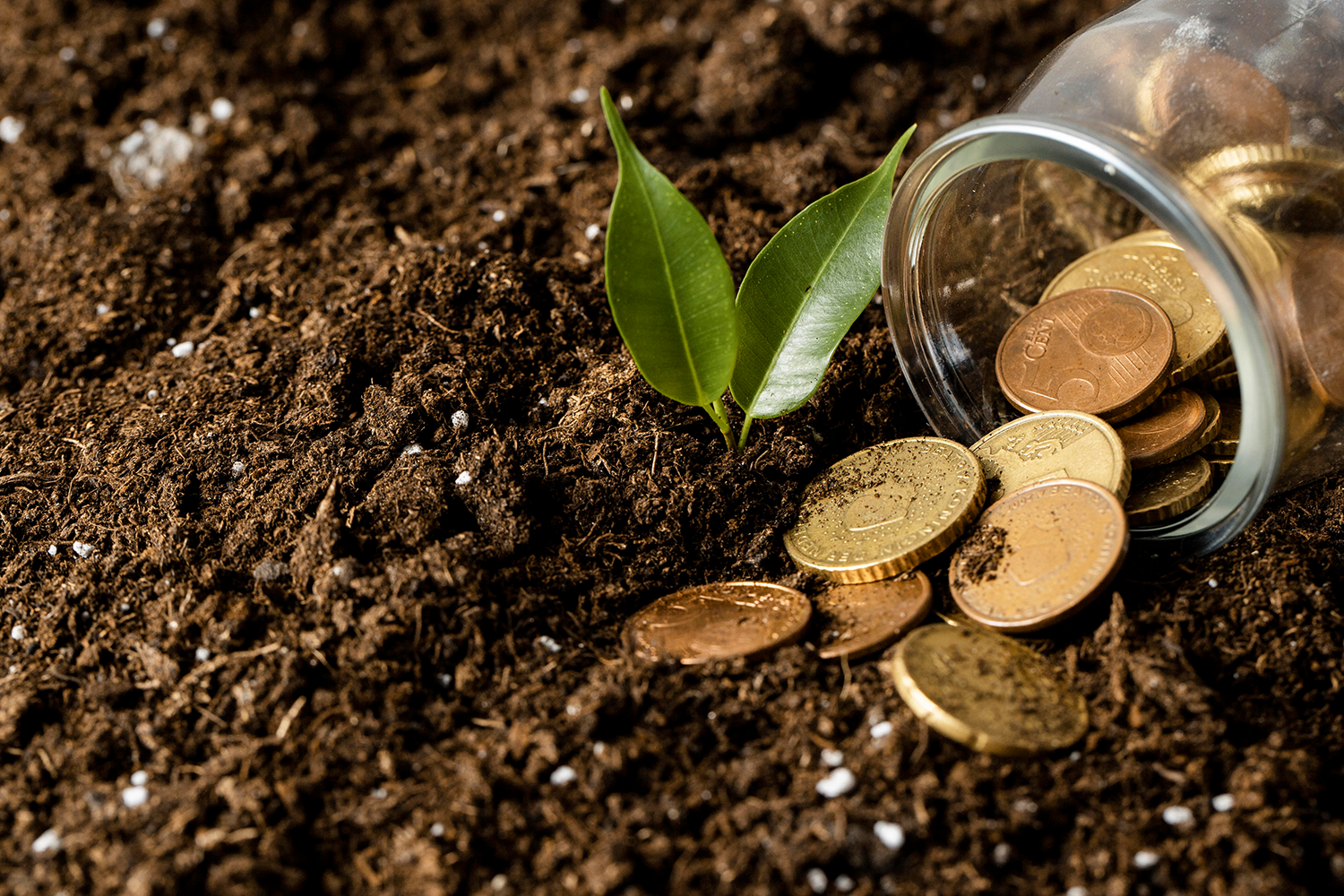 Food security investment